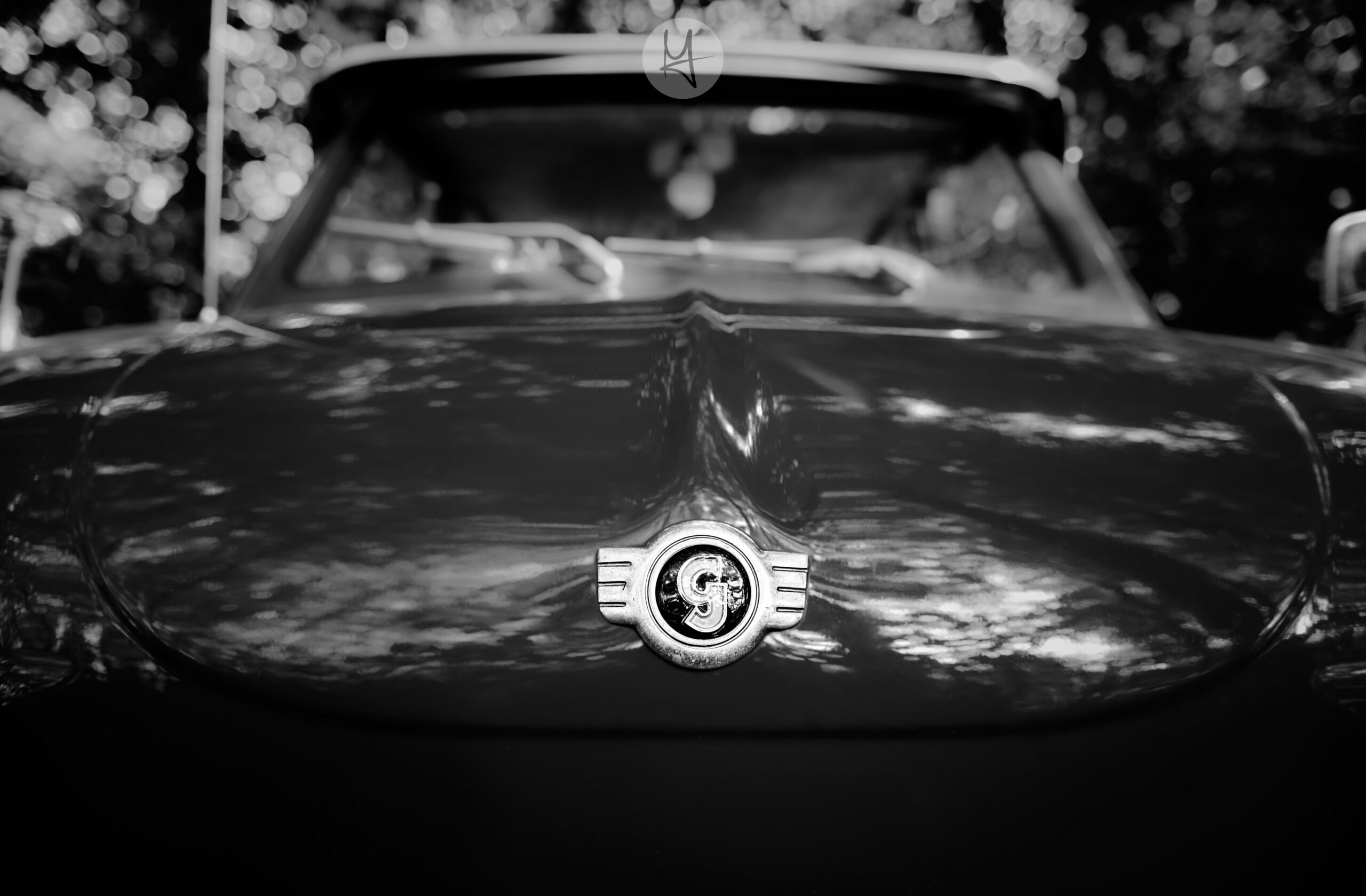 Schwarz-Weiß Foto des Goggomobils. Eine Nahaufnahme der Front mit Fokus auf dem runden Logo des Goggomobils. In der Schwarz-Weiß Variante wird die rote Lackfarbe zu einem sehr dunklen grau. Der Fokus liegt auf dem Logo, so dass der Rest des Auto unscharf wird.