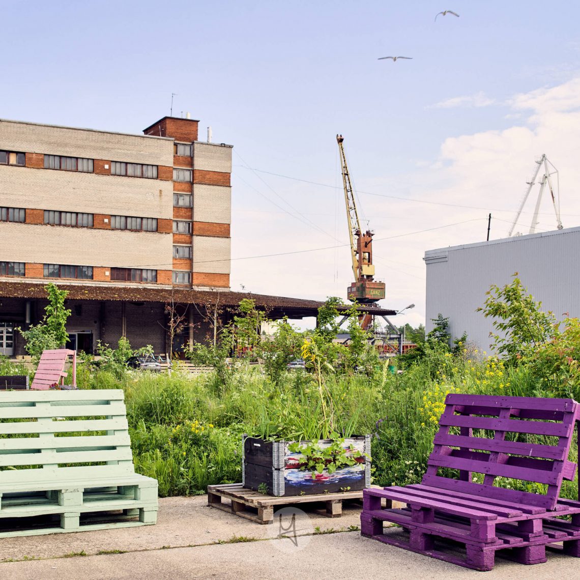 The image presents a vibrant and inviting scene set in what appears to be an urban garden. Dominating the center are two colorful wooden chairs, each boasting hues of purple and blue. These chairs sit on either side of a small cluster of potted plants that add a touch of greenery to the otherwise concrete landscape. In the background, there's an imposing brick building with large windows, suggesting it might be an old warehouse or factory repurposed for modern use. To the right of this structure is a white crane truck, indicating ongoing construction or renovation in the area. The sky above is clear and blue, adding to the overall pleasant atmosphere of the setting. The image evokes a sense of tranquility amidst an urban environment, with the colorful chairs serving as inviting spots for relaxation or conversation. The juxtaposition of nature's softness with the hard lines and structures around emphasizes the coexistence of different facets in contemporary cityscapes.